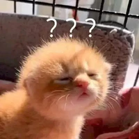 Nhân vật nào đó đéo biết, cụ thể là ???