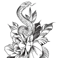 Rito (rắn trắng)