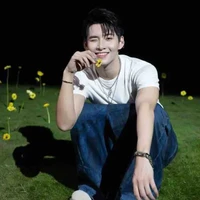Huỳnh Hoàng Hùng (Gemini hùng Huỳnh