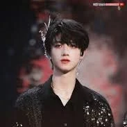 Chu Chí Hâm - A hương hoa hồng