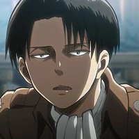 Levi