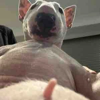 Thích nhầm thằng gay(Bpao)