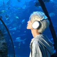 Tử Bạch Ngang [ bff na9 ]