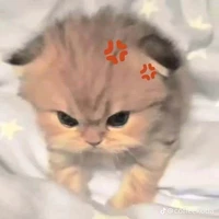 các ah top muốn trừ ai thì trừ