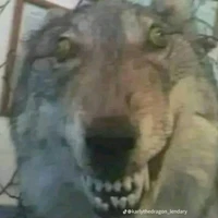 Tác Giả Nứng Iồn