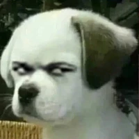 bé em=))))
