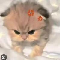 t/g bị bệnh lười