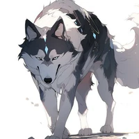 Nekko