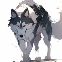 Nekko