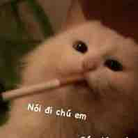 Cà phê muối