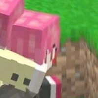 H1H4
