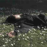 Nguyễn Lâm Phương Mi