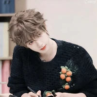 Hạ Tuấn Lâm