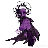 noli
