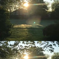 All