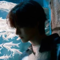 ♌︎ Tự Nghiễn Sư Tử┇@𝐥𝐞𝐨◦𝟐𝟏◦