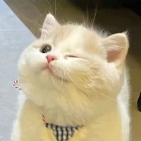 Tg đây
