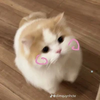tất cả Hiha[trừ ai thì trừ]