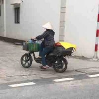 Yến 