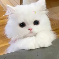 hệ thống 159/sun