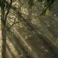 all cả top lẫn bot