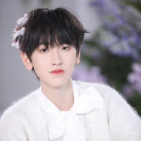 Tả Kỳ Hàm(em)