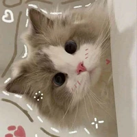 Mimi