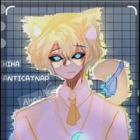 hiha anti catnap
