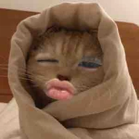 nhỏ tgi luỵ Louap><