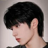 Lưu Diệu Văn ( hắn )