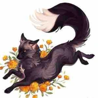 Kitsu