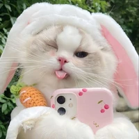 hệ thống (✌️)