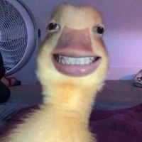tác giả biết bayyy