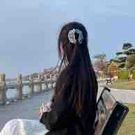 P. Linh 