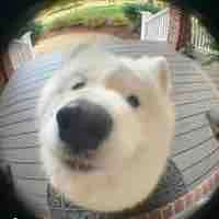 all[trừ ai cần trừ]