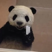 lê quang hùng ck iu
