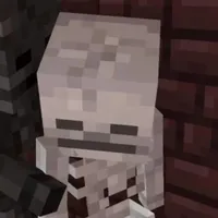 Skeleton