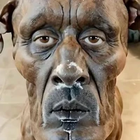 Trưởng lão ngu lồn