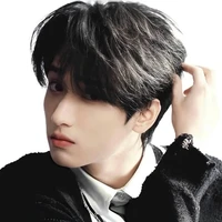 Nghiêm Hạo Tường