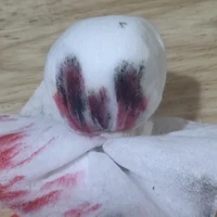 ？？？