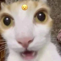 tác giả mắc bệnh đẹp trai