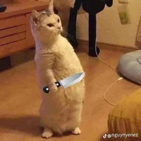 tác giả