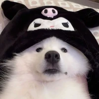 ái hoa