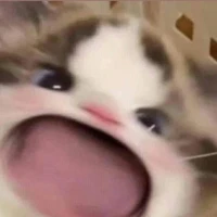 vai nào cũng cân