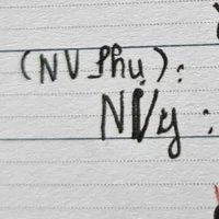 NVy