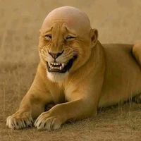 Rony bị Khùng😱