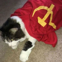 t/g