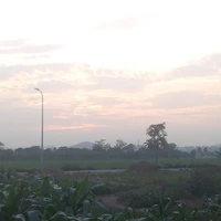 Đa Nhân vật