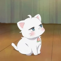 Chi chi