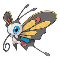 °Beautifly°_ciin